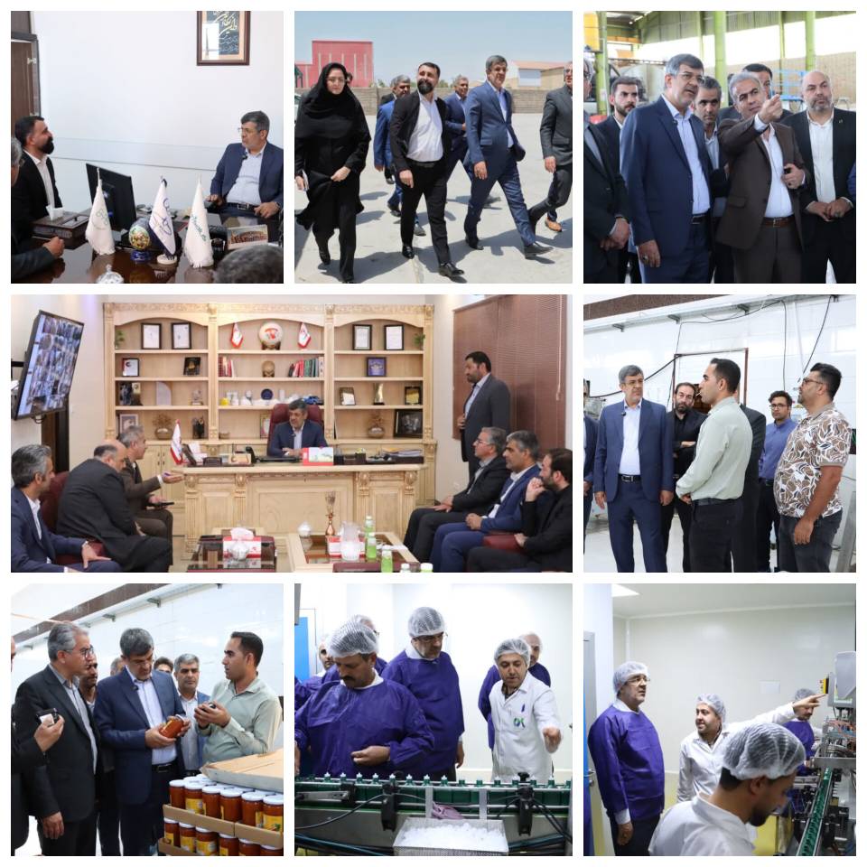 دکتر بابایی پای صحبت صنعتگران مهریز